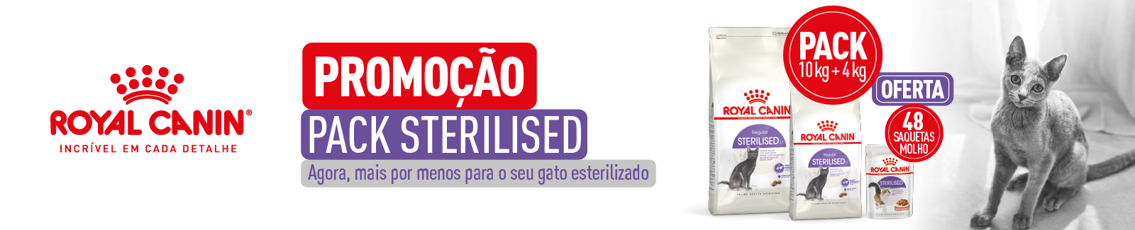 Royal Canin Regular Sterilised. Ração para gatos